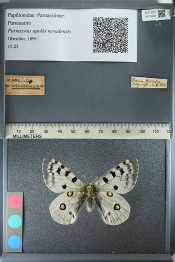 Media type: image;   Entomology 175489